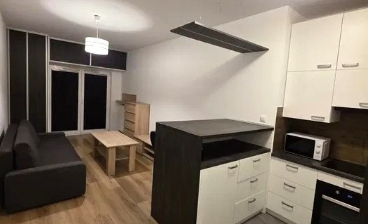 mieszkanie na sprzedaż - Kraków, Dębniki, Ruczaj, Jana Kantego Federowicza